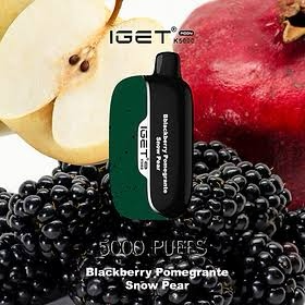 IGET MOON BLACKBERRY POMEGRANATE SNOW PEAR 5000 PUFFS